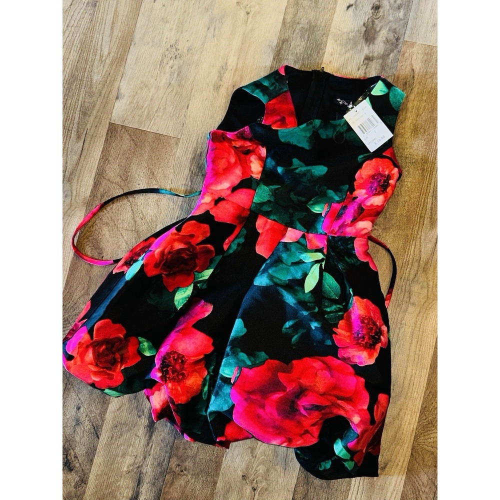 New $50 Girls Dress Extraordinary Size 7 Rose Floral